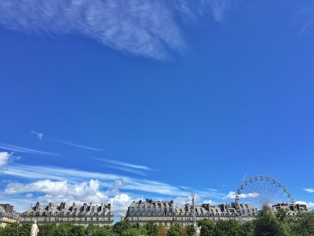 From Tuileries gardens.   by cocobella