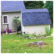 17th Aug 2017 - Cottage Rooster