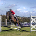 Novice Show Jumping by megpicatilly