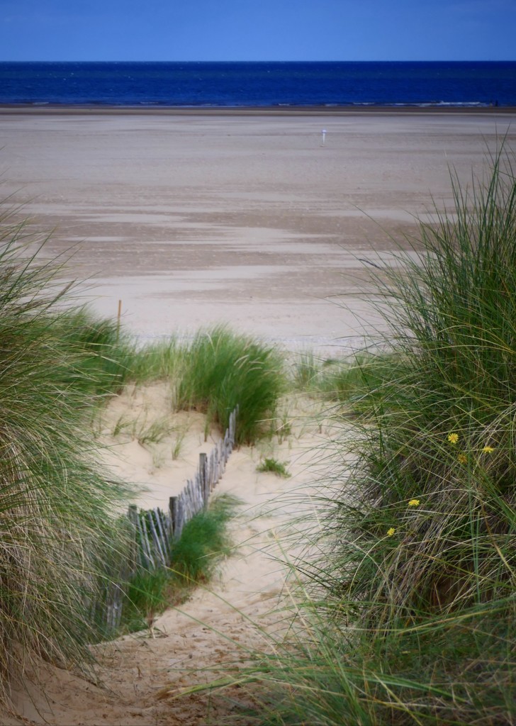 Dunes to Sea by carole_sandford