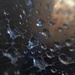 Day 228: Water Droplets by jeanniec57