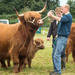 Champion Mum and calf - Lochgilphead agricultural show by callymazoo