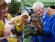 20th Aug 2017 - Pooch meets Owl !