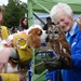 Pooch meets Owl ! by beryl
