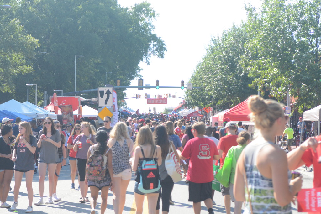 Packapalooza Crowd and Banner by sfeldphotos