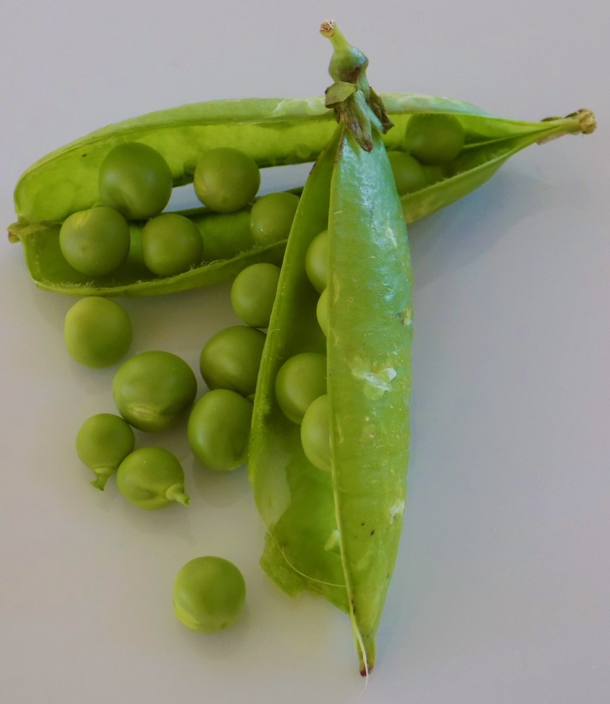 Peas by flowerfairyann