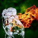 A Marriage of Water & Fire by carole_sandford