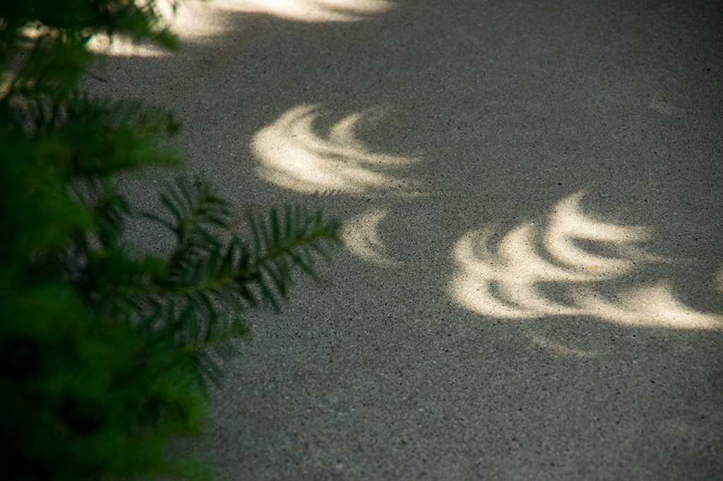 Eclipse Shadows by houser934