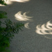 Eclipse Shadows by houser934
