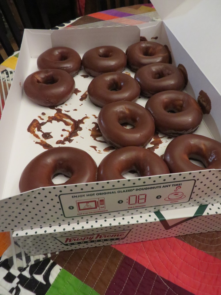 Eclipse donuts by margonaut