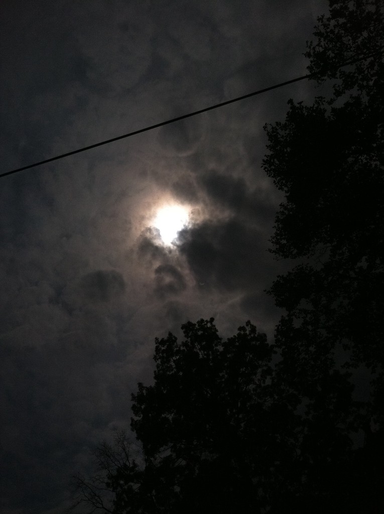 Eclipse by tatra