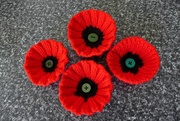 22nd Aug 2017 - Knitted Poppies