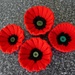 Knitted Poppies by leggzy