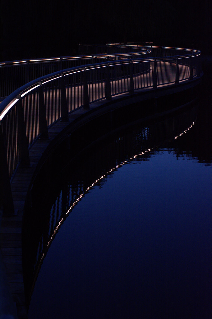 night bridge by vankrey