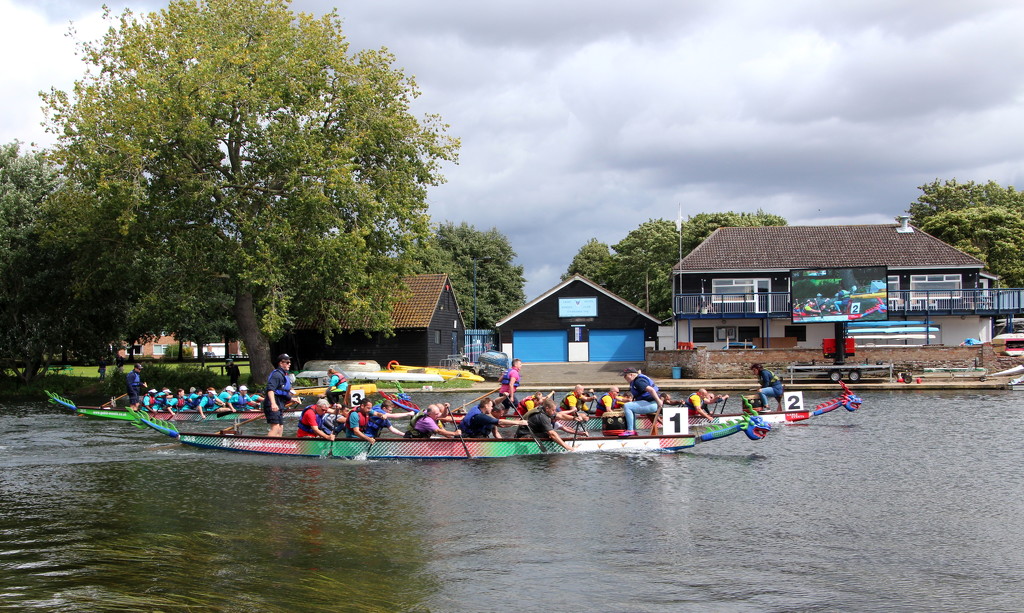 Dragon boat racing at St. Neots by busylady
