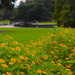 Reverie, Hampton Park, Charleston, South Carolina by congaree