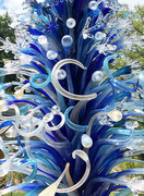 17th Aug 2017 - Chihuly Closeup