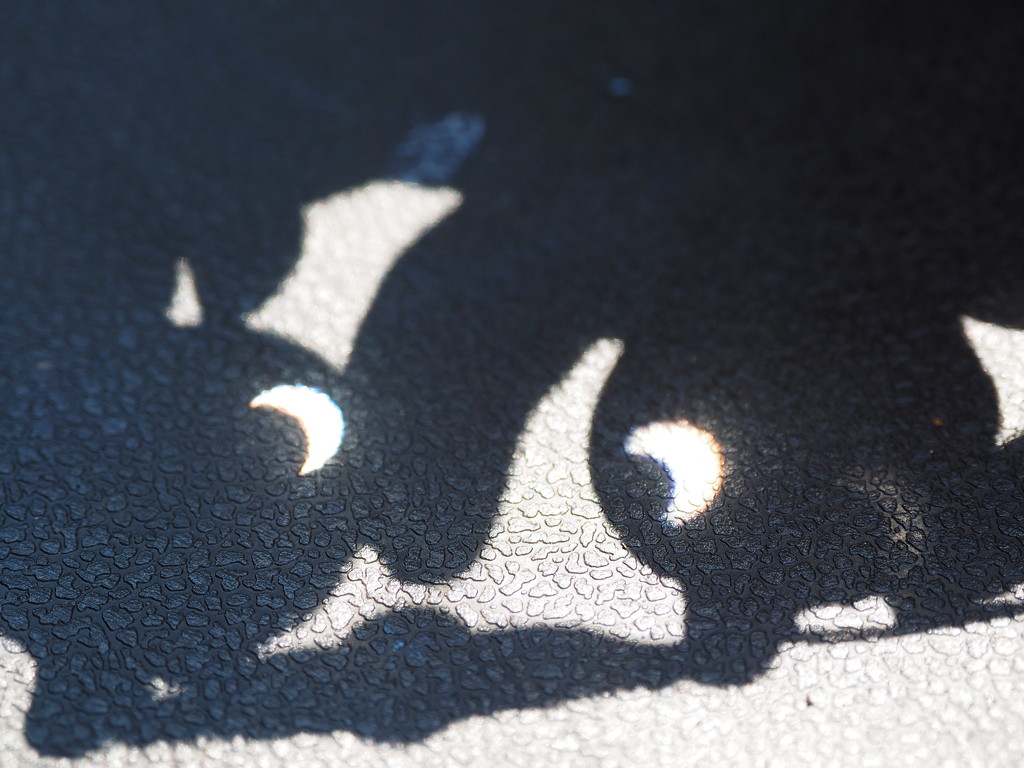 Partial Eclipse 1 by selkie