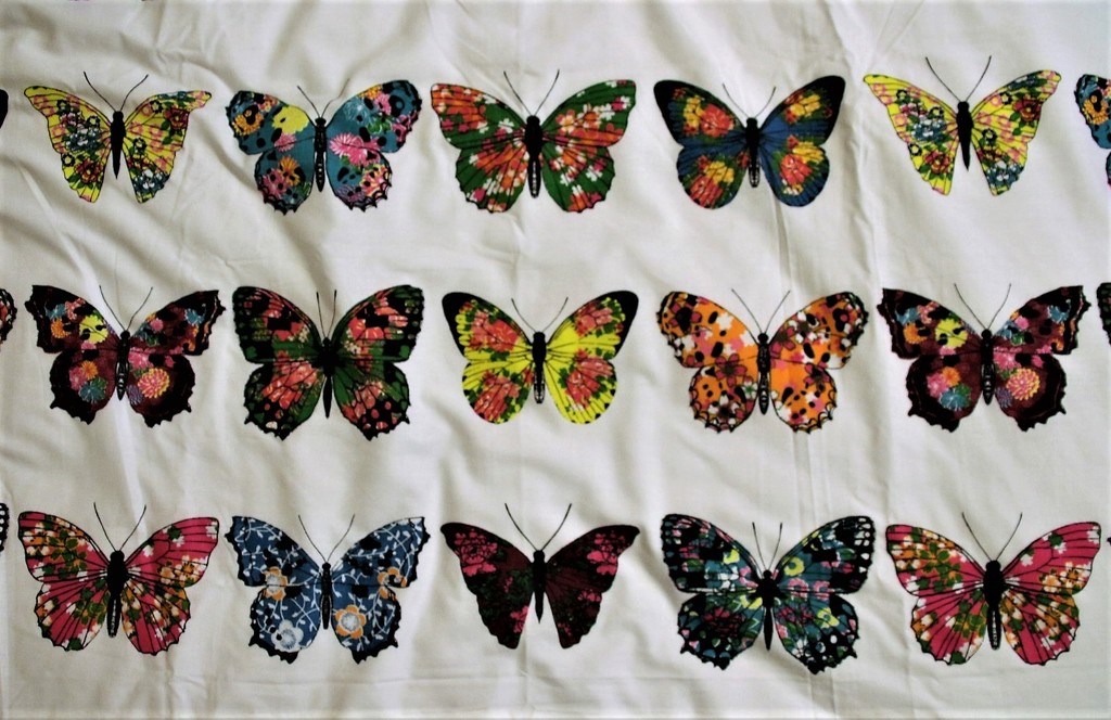Butterflies by oldjosh