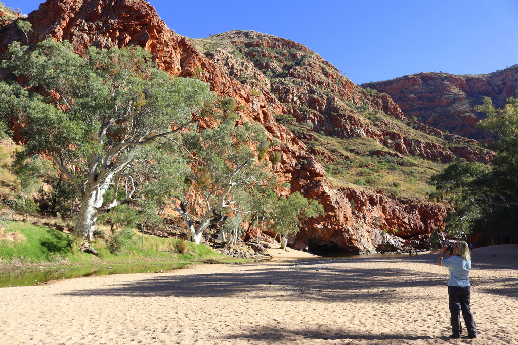 Ormiston Gorge by gilbertwood