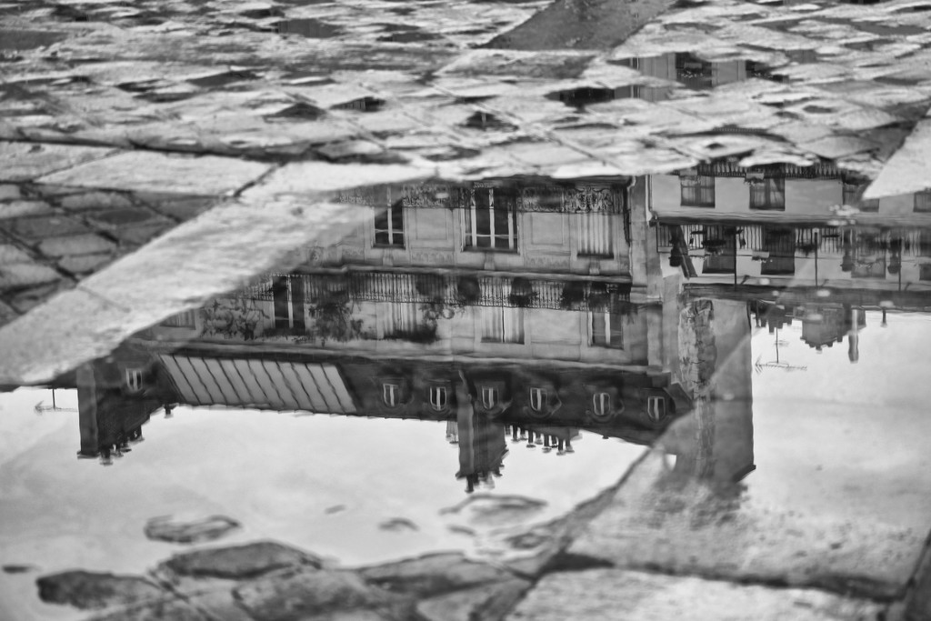 Paris Reflected by jamibann