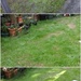 Re-seeding the Lawn by mozette