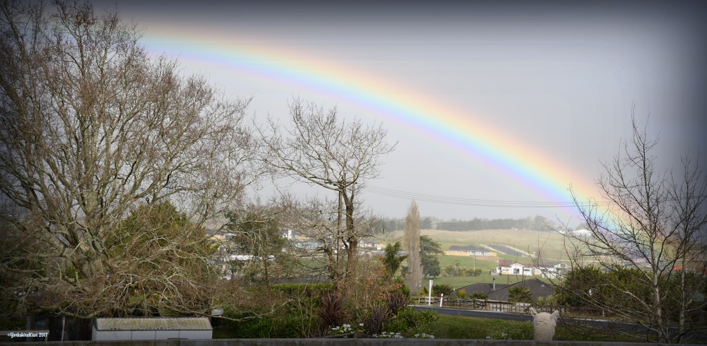 Admiring the rainbow by yorkshirekiwi