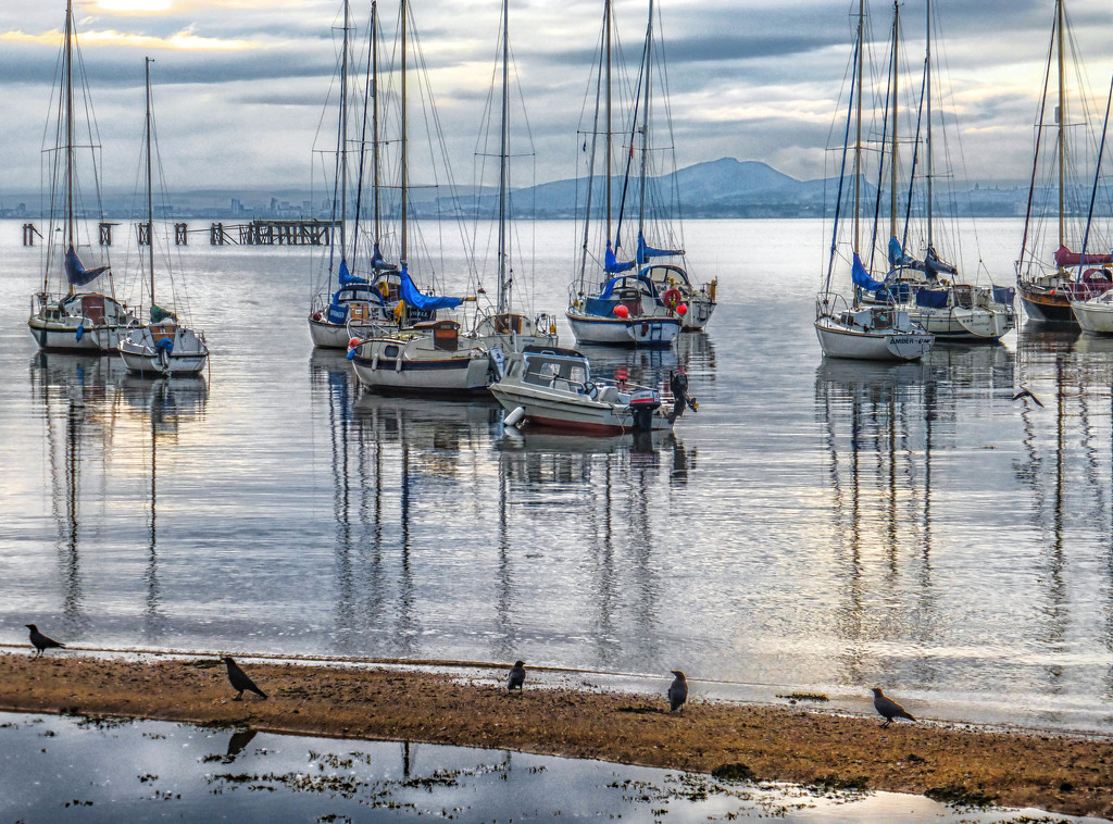 Birds waiting for the tide to turn by frequentframes