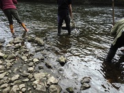 24th Aug 2017 - River dipping