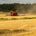 Harvest Time by rjb71