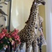 Giraffe  by leggzy