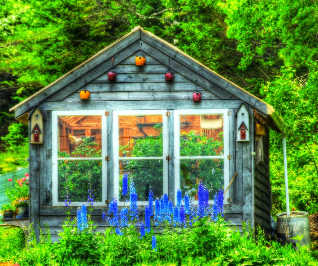 The Greenhouse  by joysfocus