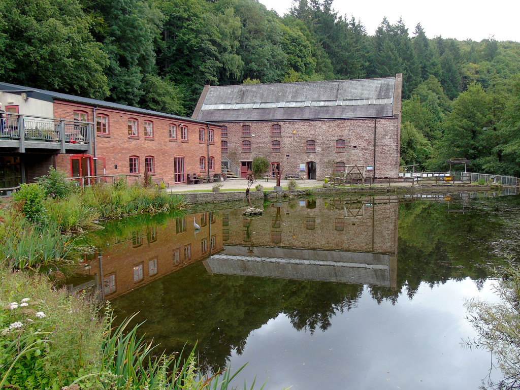 X Is For - Xceptional Mill Pond by bulldog