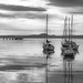 5 Yachts by frequentframes