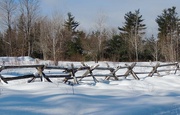 30th Jan 2017 - Old Time Fence