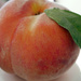 Fresh Peach by gq