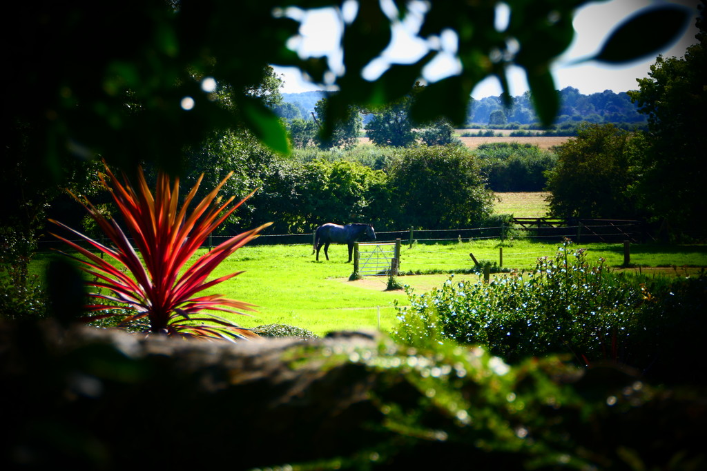 Rural peace & quiet by carole_sandford