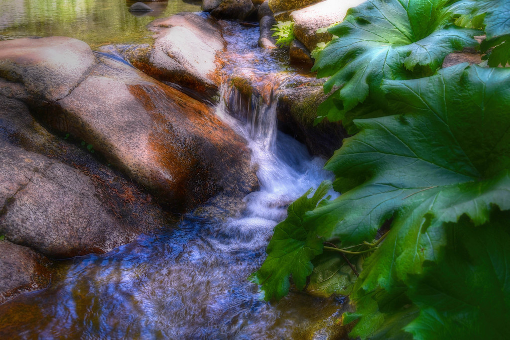 Little Waterfall by joysfocus
