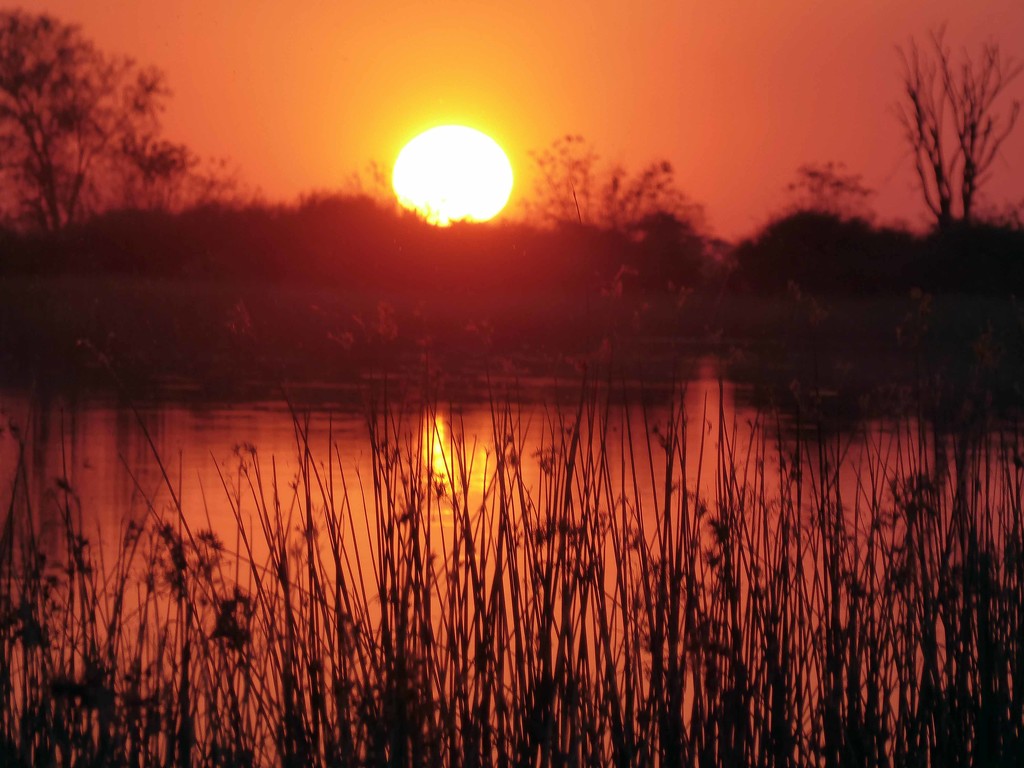 Sunset on the Okavango Delta by cmp