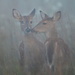 Young Companions in the Fog by kareenking