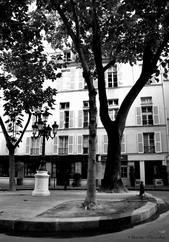 Place Furstenberg by parisouailleurs
