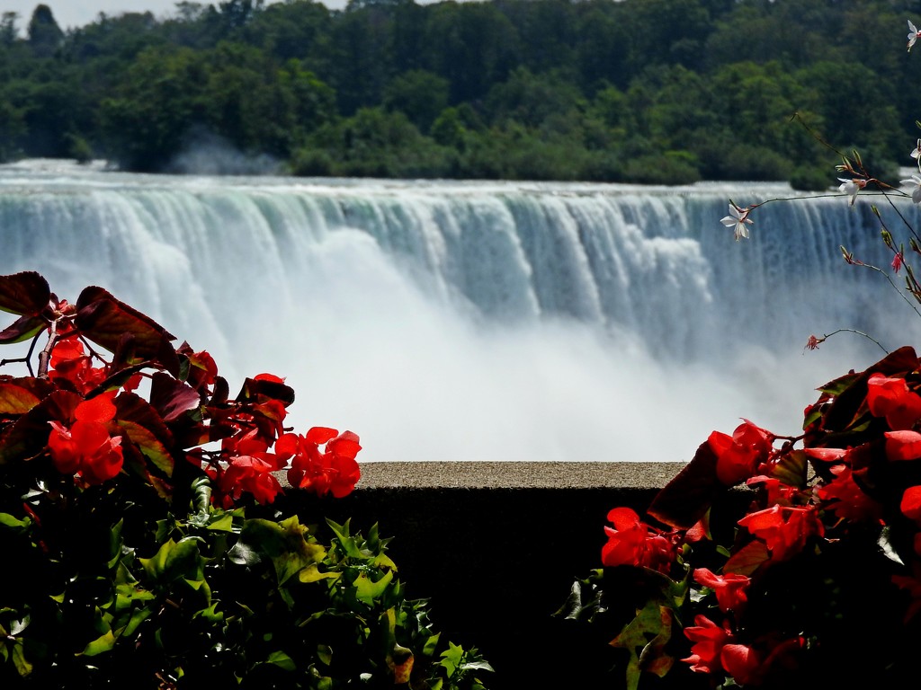 Niagara Falls by janeandcharlie