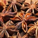 Star Anise by wendyfrost