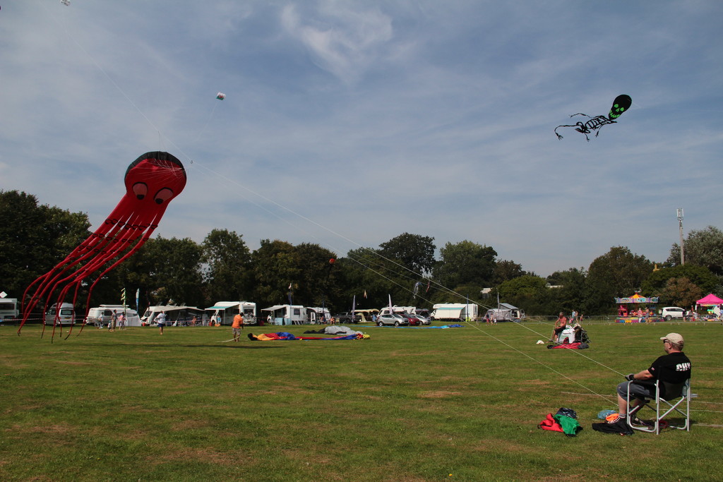 Kite Flying by davemockford