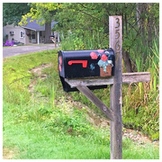 29th Aug 2017 - Up North Mailbox