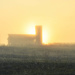 Foggy sunrise by cindymc