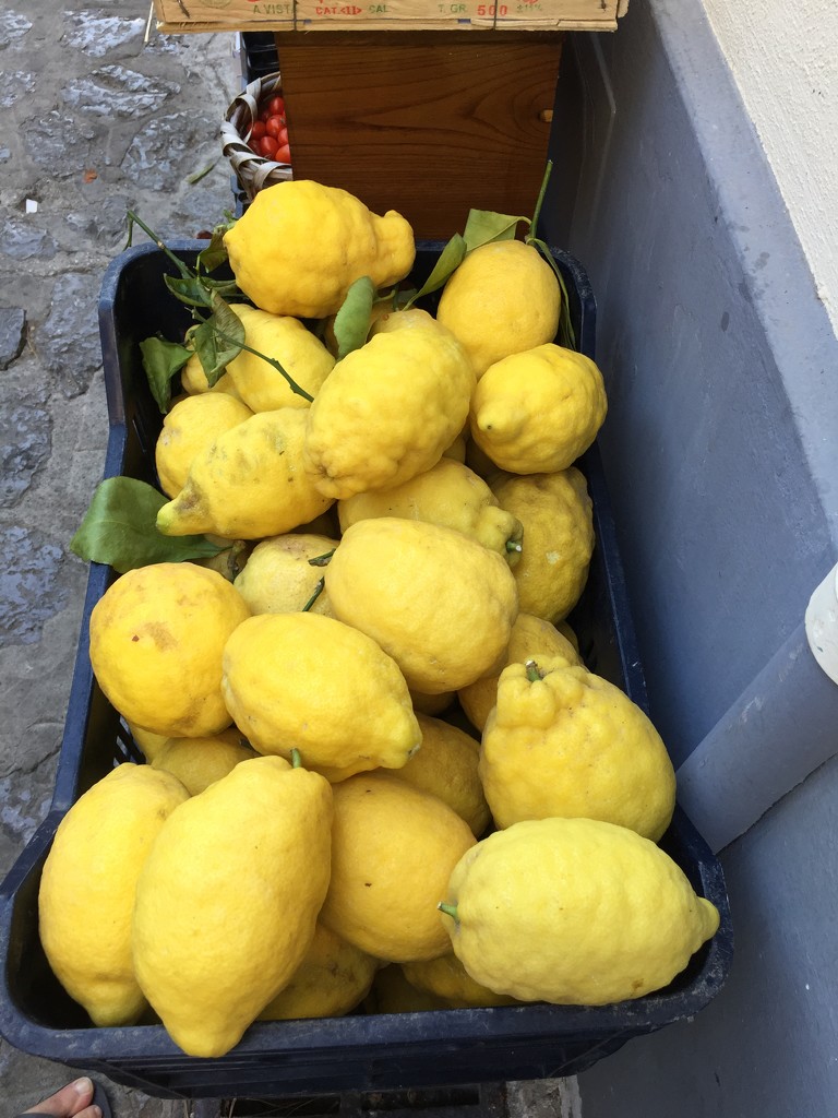Lemons from Amalfi coast.  by cocobella