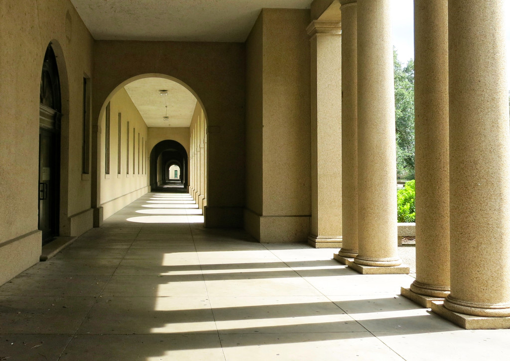 The Quad, LSU by eudora