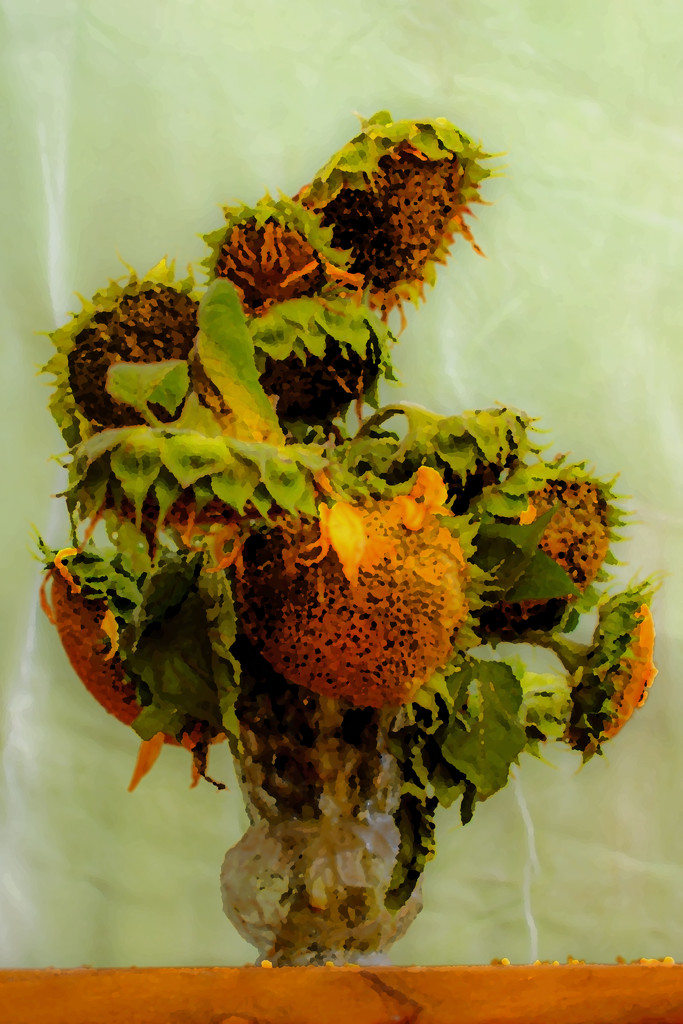 Sunflowers by farmreporter