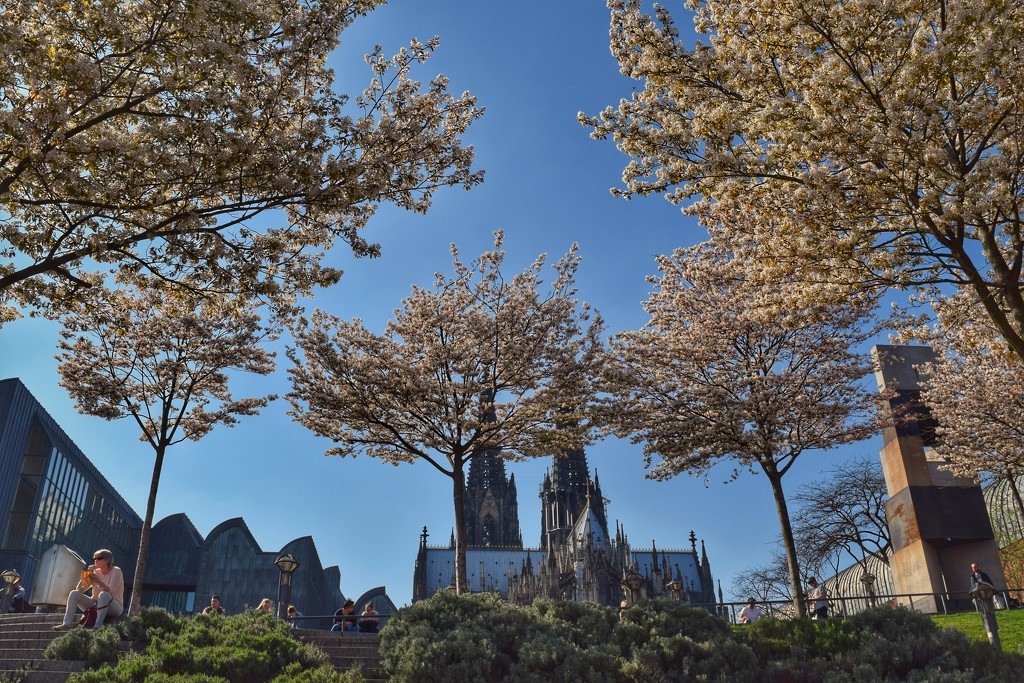 Spring in Cologne by ctst